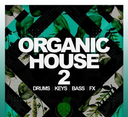 Dirty Music Organic House Vol. 2 WAV